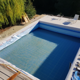 Accessoires et Produits d'Entretien : Maintenez votre Piscine dans un État Impeccable Amiens